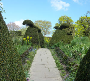 Garden path through clipped hedges and spring flowers